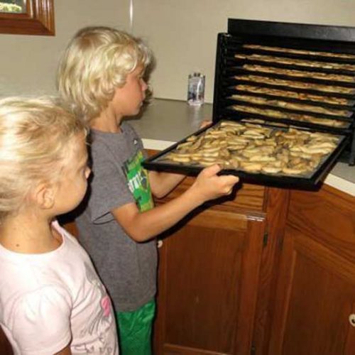 A Lesson in Food Preservation